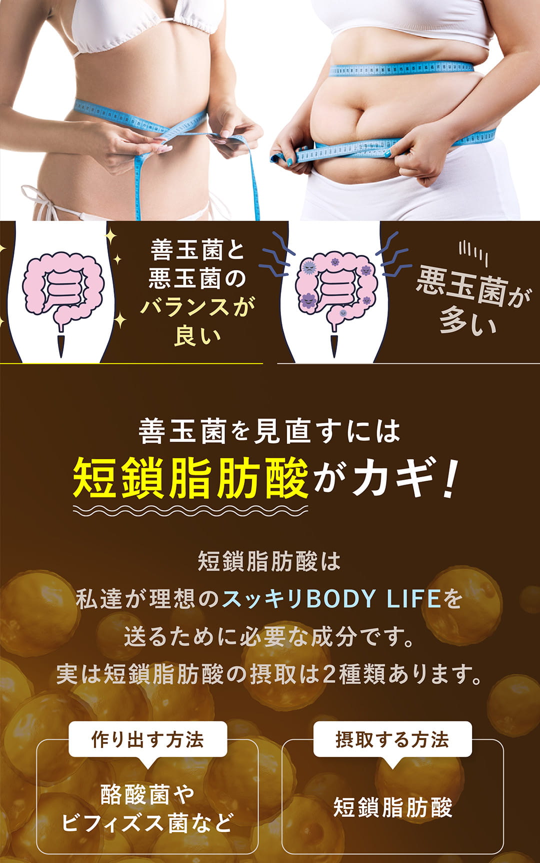 善玉菌を見直すには短鎖脂肪酸がカギ！